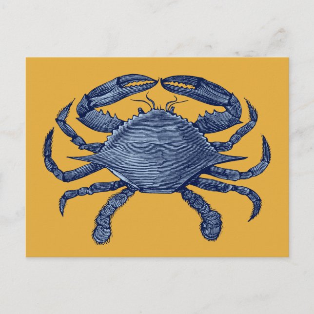 Blue crab postcard (Front)