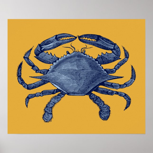 Blue crab poster (Front)