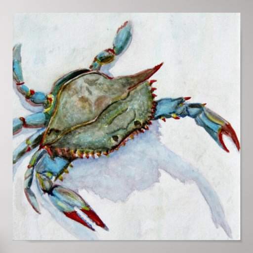 Blue Crab Poster | Zazzle