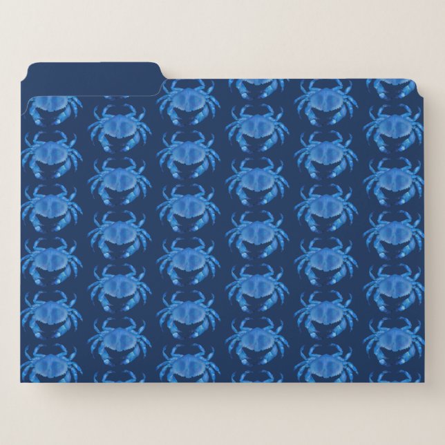 Blue Crab Seaside Ocean pattern File Folder (Front Left)