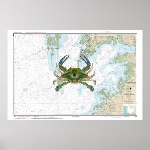 Blue Crab with Chesapeake Bay Nautical Chart