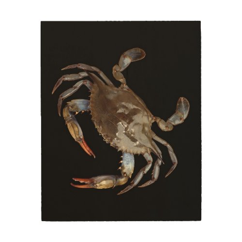 Blue Crab Wood Wall Art