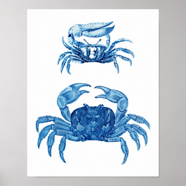 Blue Crabs Coastal Decor Art Print no.3 (Front)