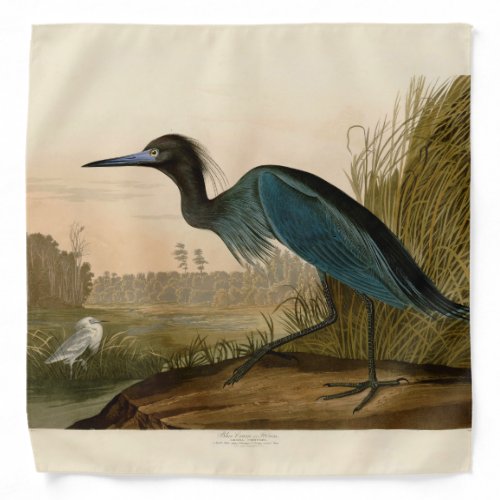 Blue Crane Heron Audubon Painting Bandana