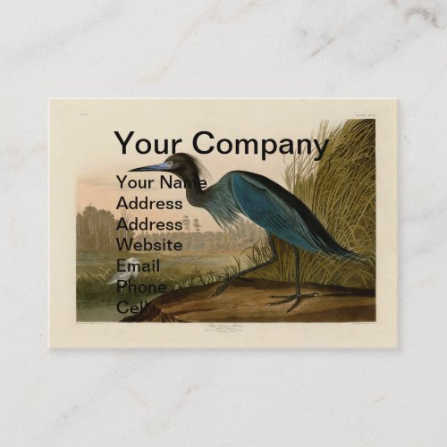 Blue Crane Heron Audubon Painting Business Card