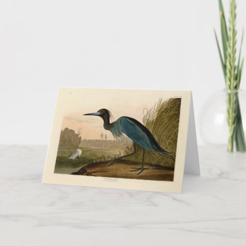 Blue Crane Heron Audubon Painting Card