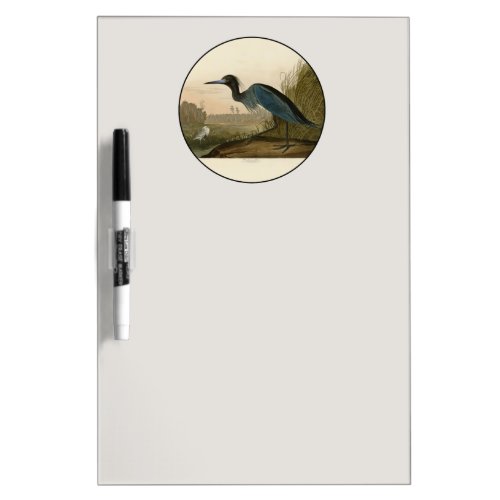 Blue Crane Heron Audubon Painting Dry Erase Board