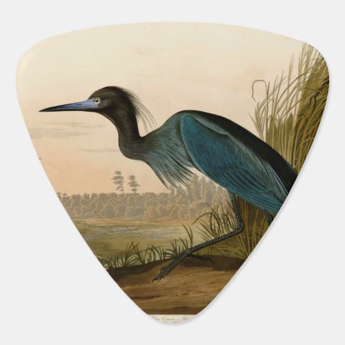 Blue Crane Heron Audubon Painting Guitar Pick