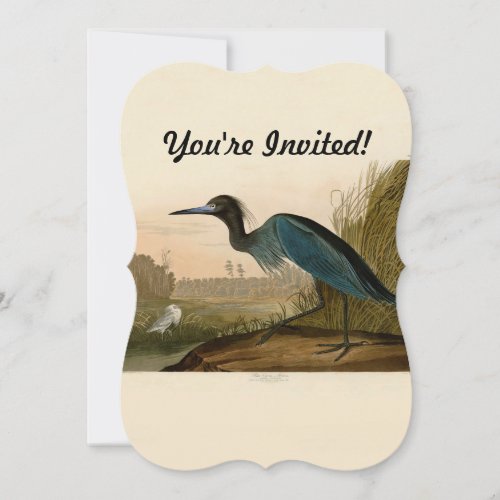 Blue Crane Heron Audubon Painting Invitation