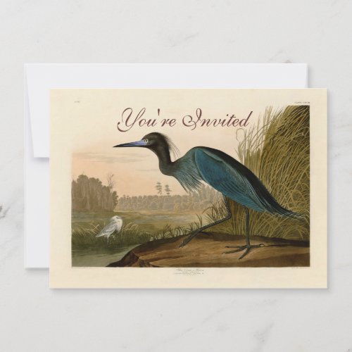 Blue Crane Heron Audubon Painting Invitation