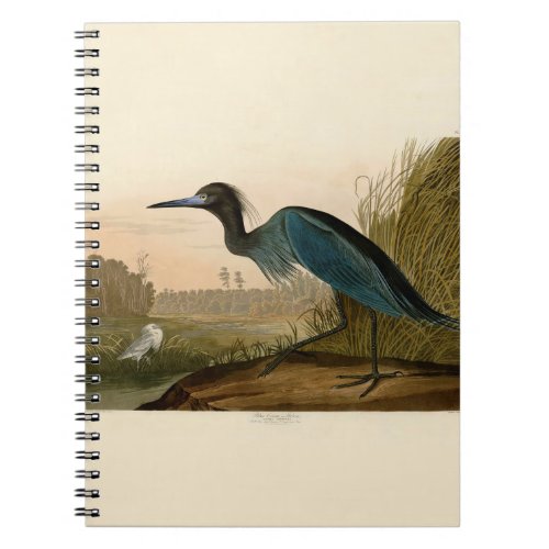 Blue Crane Heron Audubon Painting Notebook