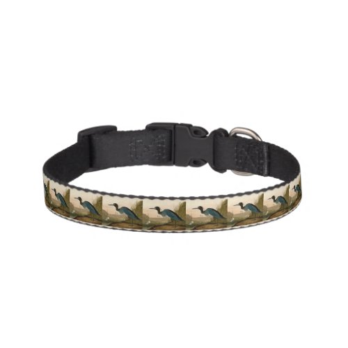 Blue Crane Heron Audubon Painting Pet Collar