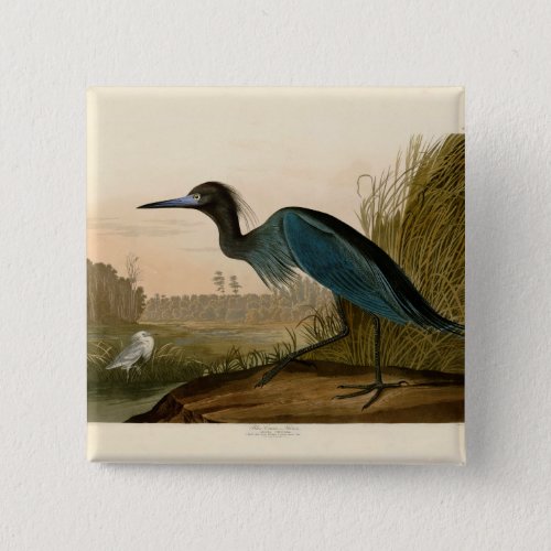 Blue Crane Heron Audubon Painting Pinback Button