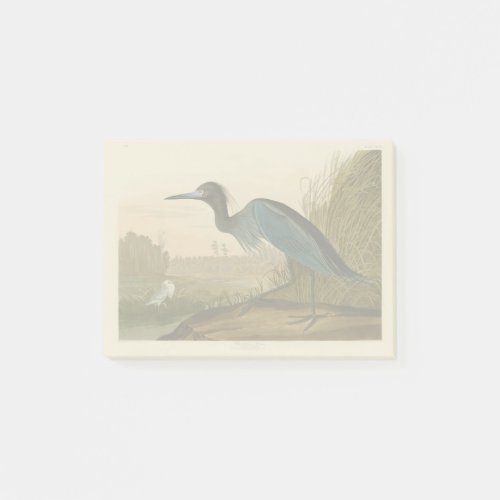 Blue Crane Heron Audubon Painting Post_it Notes