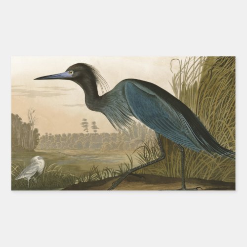 Blue Crane Heron Audubon Painting Rectangular Sticker