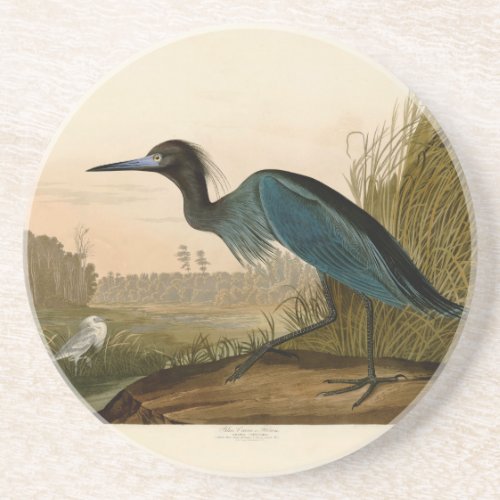 Blue Crane Heron Audubon Painting Sandstone Coaster