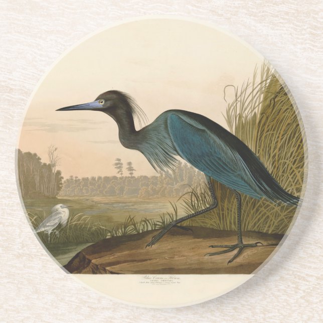 Blue Crane Heron Audubon Painting Sandstone Coaster (Front)