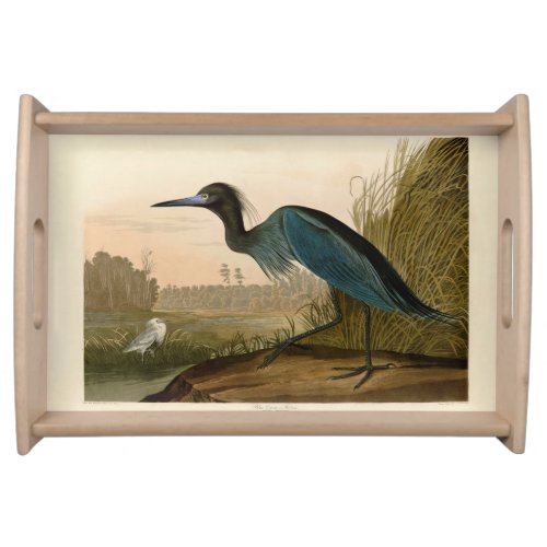 Blue Crane Heron Audubon Painting Serving Tray