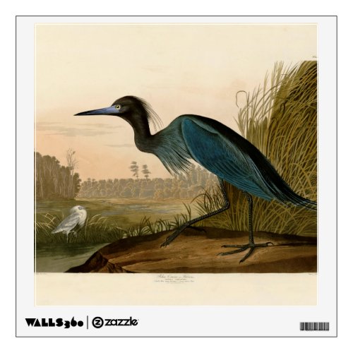 Blue Crane Heron Audubon Painting Wall Decal