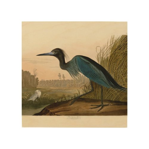 Blue Crane Heron Audubon Painting Wood Wall Art