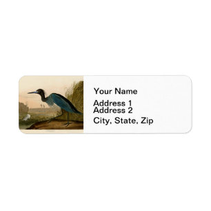 Blue Crane Heron Audubon Print Coastal Art Label