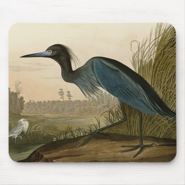 Blue Crane Heron Audubon Print Coastal Art Mouse Pad (Front)