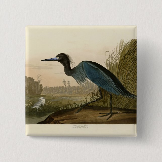 Blue Crane Heron Audubon Print Coastal Art Pinback Button (Front)