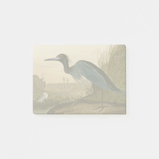 Blue Crane Heron Audubon Print Coastal Art Post-it Notes (Front)