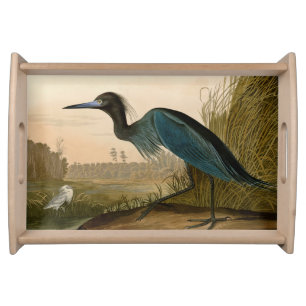 Blue Crane Heron Audubon Print Coastal Art Serving Tray