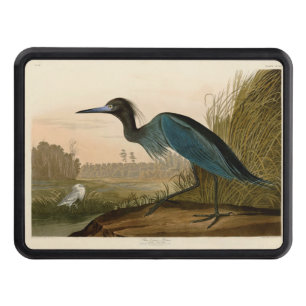 Blue Crane Heron Audubon Print Coastal Art Tow Hitch Cover