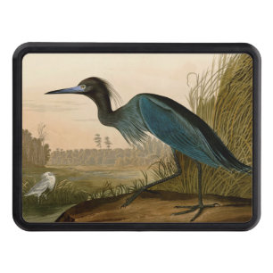 Blue Crane Heron Audubon Print Coastal Art Tow Hitch Cover
