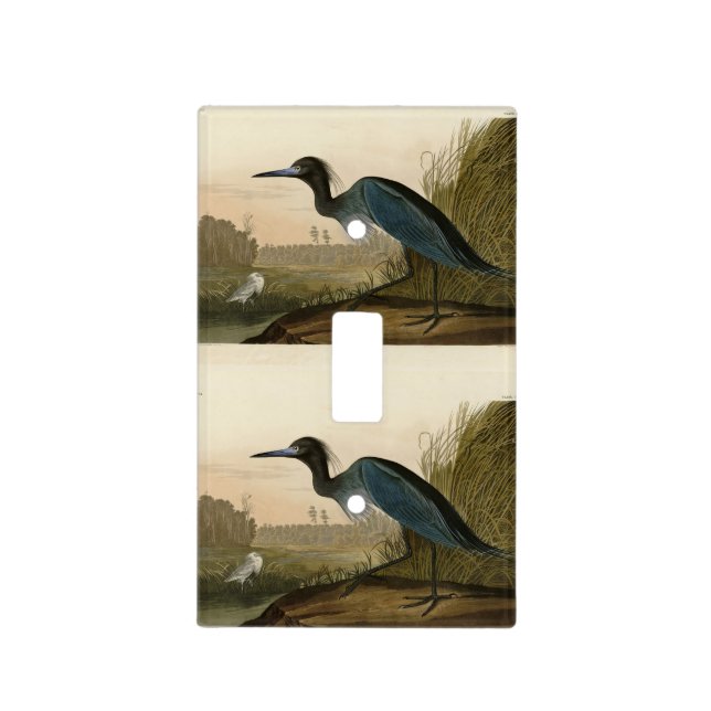 Blue Crane, Heron, from Audubon's Birds of America Light Switch Cover (Front)