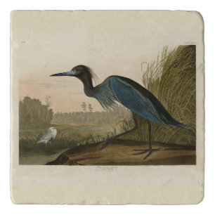 Blue Crane, Heron, from Audubon's Birds of America Trivet