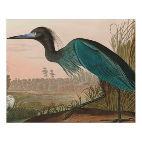 Blue Crane or Heron Birds of America Audubon Print