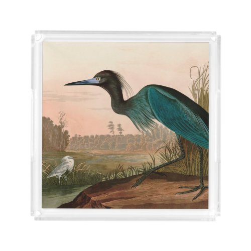 Blue Crane or Heron Birds of America Audubon Print Acrylic Tray