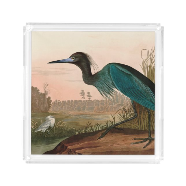Blue Crane or Heron Birds of America Audubon Print Acrylic Tray (Front)