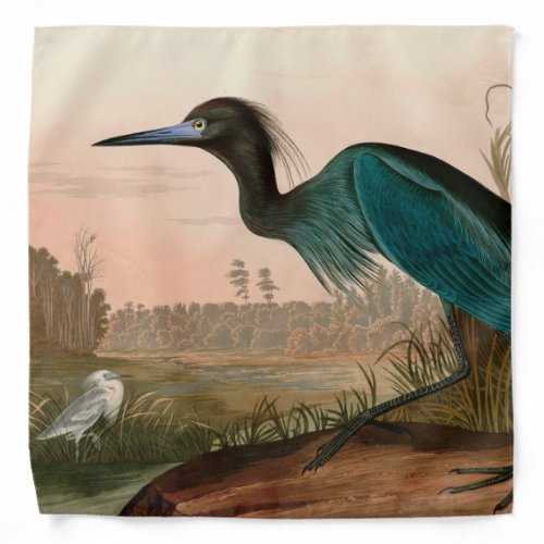 Blue Crane or Heron Birds of America Audubon Print Bandana