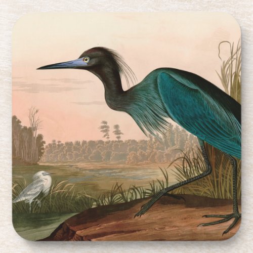 Blue Crane or Heron Birds of America Audubon Print Beverage Coaster
