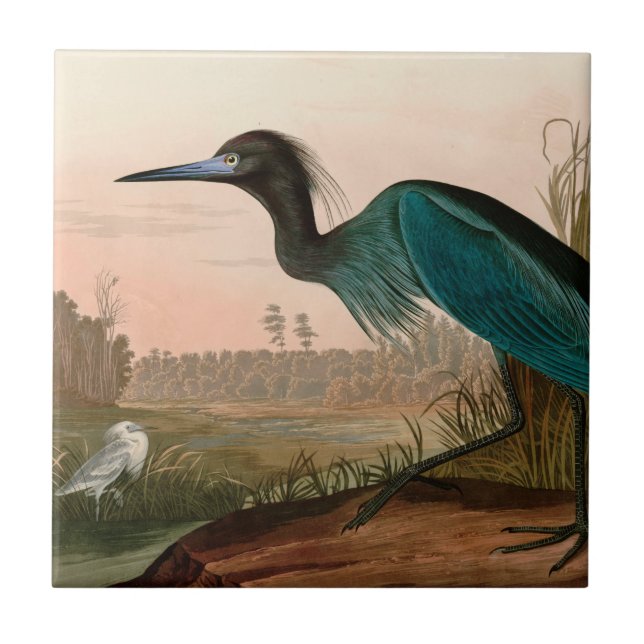 Blue Crane or Heron Birds of America Audubon Print Ceramic Tile (Front)