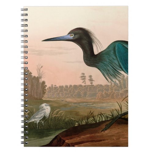 Blue Crane or Heron Birds of America Audubon Print Notebook