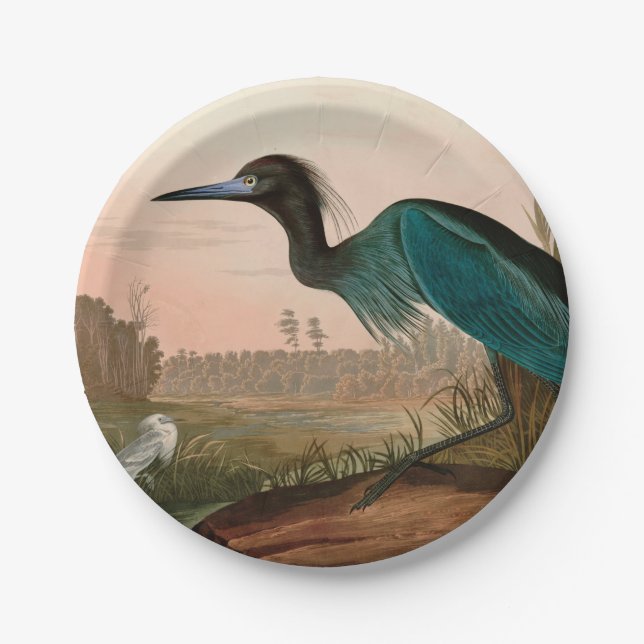 Blue Crane or Heron Birds of America Audubon Print Paper Plates (Front)