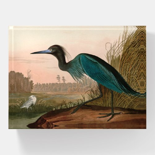 Blue Crane or Heron Birds of America Audubon Print Paperweight