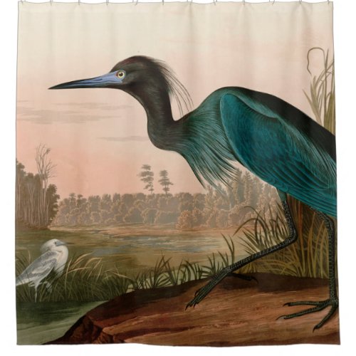 Blue Crane or Heron Birds of America Audubon Print Shower Curtain