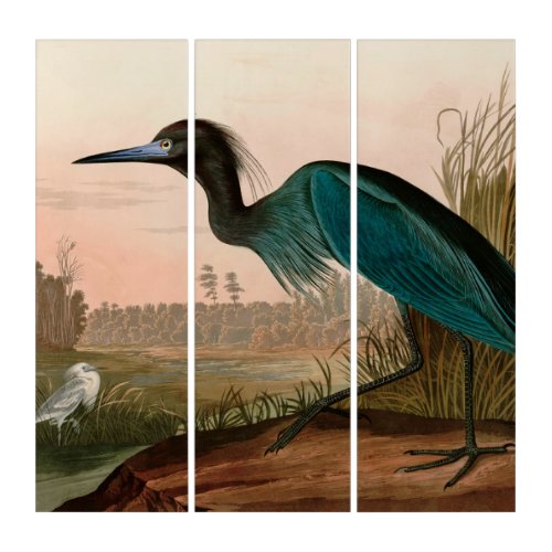 Blue Crane or Heron Birds of America Audubon Print Triptych