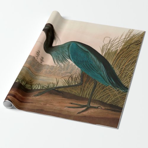 Blue Crane or Heron Birds of America Audubon Print Wrapping Paper