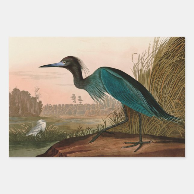 Blue Crane or Heron Birds of America Audubon Print Wrapping Paper Sheets (Front)