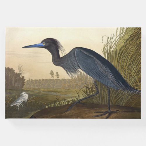 Blue Crane Or Heron Birds Of America John James Guest Book