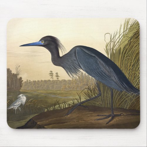 Blue Crane Or Heron Birds Of America John James Mouse Pad