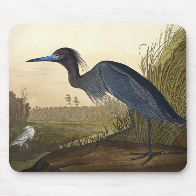 Blue Crane Or Heron Birds Of America John James Mouse Pad (Front)