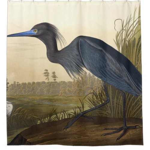 Blue Crane Or Heron Birds Of America John James Shower Curtain